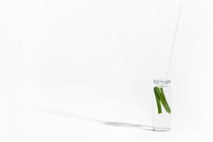 organic cosmetics, natural cosmetics, biofuels, algae. Natural green laboratory. Experiments. Glass laboratory jar with green plants on a light background. photo