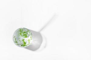 organic cosmetics, natural cosmetics, biofuels, algae. Natural green laboratory. Experiments. Laboratory cup with green plants on a light background. photo