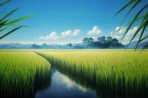 The landscape of rice fields with rivers, trees, mountains, and, blue sky. Image of spring or peaceful countryside concept. Nature background illustration with oil painting style by . photo