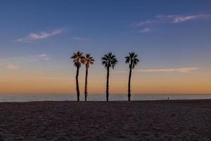 playa paisaje paz y tranquilo puesta de sol y cuatro palma arboles en el playa foto