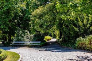 summer landscape on a sunny day park garden Warsaw Poland path, tree photo