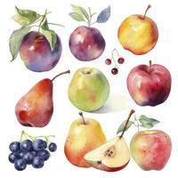 collection of pretty delicate watercolor fruits on  white background, Generate Ai photo