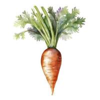 watercolor painting of an one carrot on white background, Generate Ai photo