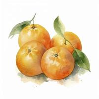 acuarela pintura de cuatro naranjas en blanco fondo, generar ai foto