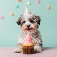 Cute funny birthday dog. Illustration photo