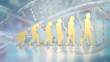 The human evolution image for education or sci concept 3d rendering photo