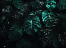 Tropical Palm Leaves Background. Illustration photo