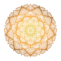 mandala lusso oro modello. illustrazione mandala fiore forma geometrico il giro modello isolato su nero sfondo. mandala uso per colorazione libro elementi, decorativo ornamenti, henné, tatuaggio, eccetera. png