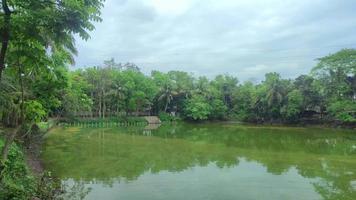 Peaceful view of a pond with reflection. Mind refreshing nature with the sky. video
