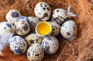 quail eggs on birds nest, fresh quail eggs and feather on wooden table background, raw eggs with peel egg shell photo