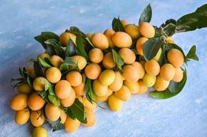 Marian plum fruit and leaves in plate on wooden background, tropical fruit Name in Thailand Sweet Yellow Marian Plum Maprang Plango or Mayong chid - top view photo