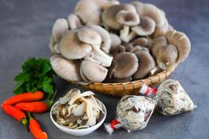 Fresh grey oyster mushroom on plate, cooked oyster mushroom for cooking food - processed food street mushroom package photo