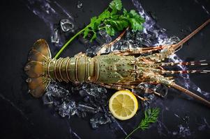 spiny lobster seafood on ice, fresh lobster or rock lobster with herb and spices lemon coriander parsley on dark background, raw spiny lobster for cooking food or seafood market photo