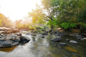 River stream waterfall in forest landscape, beautiful nature water stream with  rocks in the tropical forest little mountain waterfall water flowing and stone clear water in mountain river with tree photo