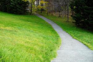 Close up Pathway in the Park. photo
