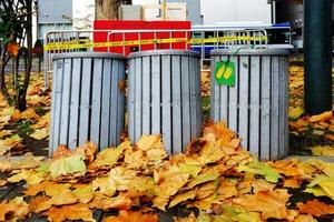 Wooden Garbage Bins in the Park with Falling Maple Leaves on the Ground. photo