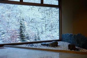 Winter Forest via the Big Window Background. photo