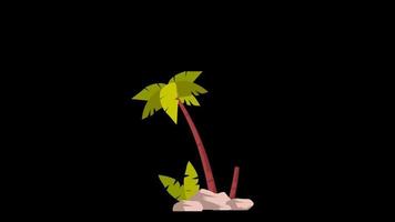 Coconut Tree in Summer Time video