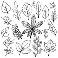 Vector Hand drawn set of doodle botanical leaves for seasonal design