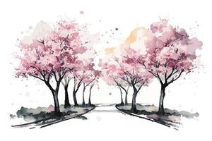 watercolor cherry blossom grove illustration design vector