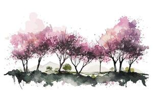 watercolor cherry blossom grove illustration design vector