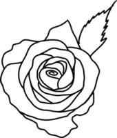 Sketch of Rose Flower vector