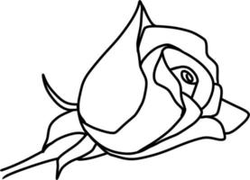 Sketch of Rose Flower vector