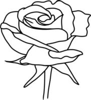 Sketch of Rose Flower vector