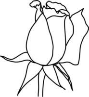 Sketch of Rose Flower vector