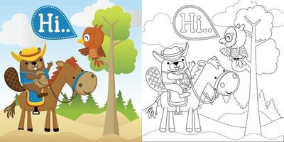 Vector cartoon illustration, coloring book of beaver in cowboy costume riding horse, owl on tree