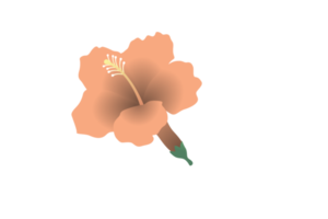 icoon voorwerpen omvatten dieren, dingen, bloemen, bedrijf, voedsel, enz. png