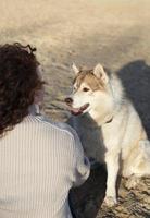 A woman with curly hair and a dog with a collar that says husky on it. Dog watching at his owner. photo