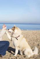 A woman and her dog on the beach. Dog's paw in the hand. photo