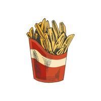 Hand-drawn colored sketch of  french fries in a box  isolated on white background. Fast food illustration. Vintage drawing. Great for menu, poster or restaurant background. vector