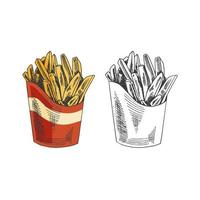 Hand-drawn colored  and monochrome sketch set of  french fries in a box  isolated on white background. Fast food illustration. Vintage drawing.Great for menu, poster or restaurant background. vector