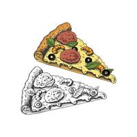 dibujado a mano de colores y monocromo bosquejo conjunto de Pizza rebanada. Pizza con queso Mozzarella, tomate salsa, embutido, Olivos, camarones, Derretido queso. rápido comida Clásico ilustración. vector