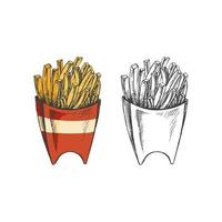 Hand-drawn colored  and monochrome sketch set of  french fries in a box  isolated on white background. Fast food illustration. Vintage drawing.Great for menu, poster or restaurant background. vector