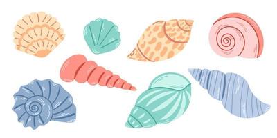 Set of colored sea shells, molluscs, scallops. Underwater shells of various shapes. Vector illustration of shellfish isolated on white background.