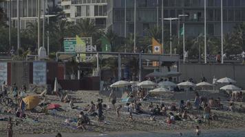 folle di persone su il spiagge di Barcellona nel estate video