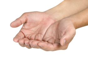 Two open the palm of the hand isolated png