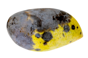 verrot mango fruit geïsoleerd png