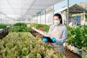 Asian female farmer wearing  is caring for organic vegetables inside the nursery.Young entrepreneurs with an interest in agriculture. Building a agricultural career at farm photo