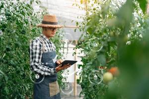 agricultura usos producción controlar tabletas a monitor calidad vegetales y tomate a invernadero. inteligente granjero con vr icono foto