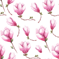 Watercolor magnolia. Seamless pattern png