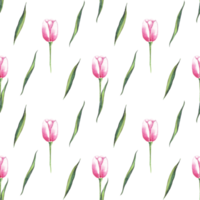 Watercolor tulips. Seamless pattern png