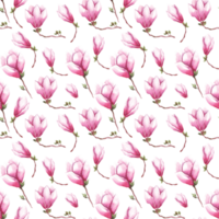 Watercolor magnolia. Seamless pattern png