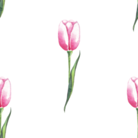 tulipas em aquarela. padrão sem costura png