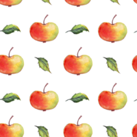 aquarelle pommes. sans couture modèle png