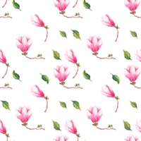 Watercolor magnolia. Seamless pattern png