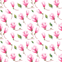 Watercolor magnolia. Seamless pattern png